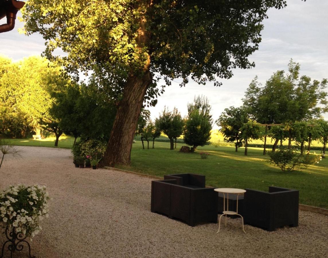 Antica Vigna Bed and breakfast *